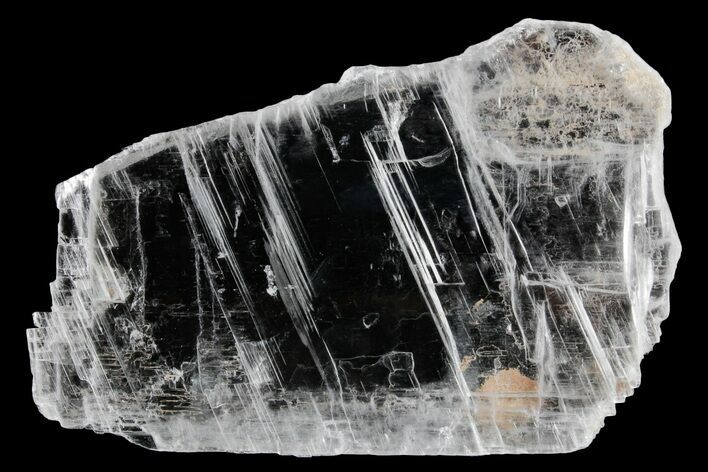 Glassy Selenite Utah Ice Sheet- Hanksville, Utah #361261